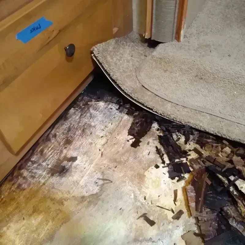 Wood Floor Water Damage in New Madrid, MO